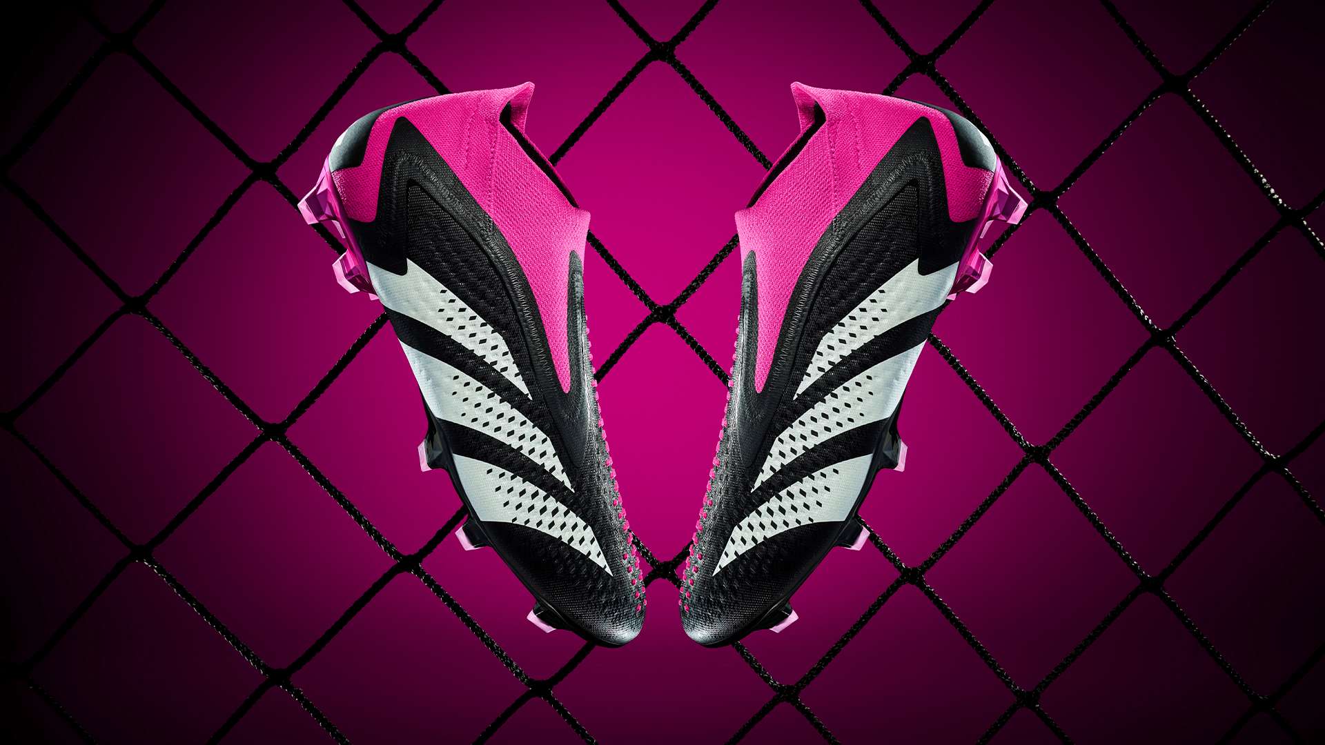 不会错过这 不会错过这